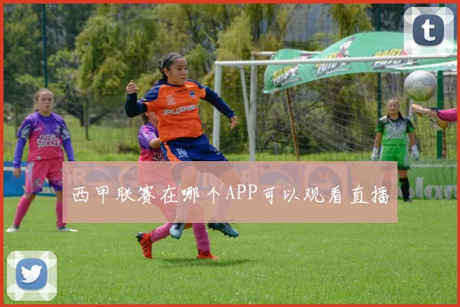 西甲联赛在哪个APP可以观看直播